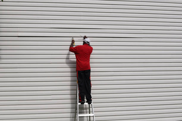 Best Vinyl Siding Installation  in West Point, UT